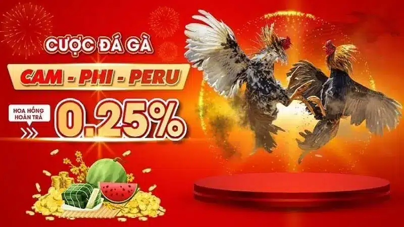 Thông tin chi tiết về chương trình hoàn trả 2% tại Sv388